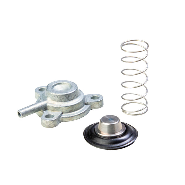 Genuine Honda Diaphragm Set Acty E07A