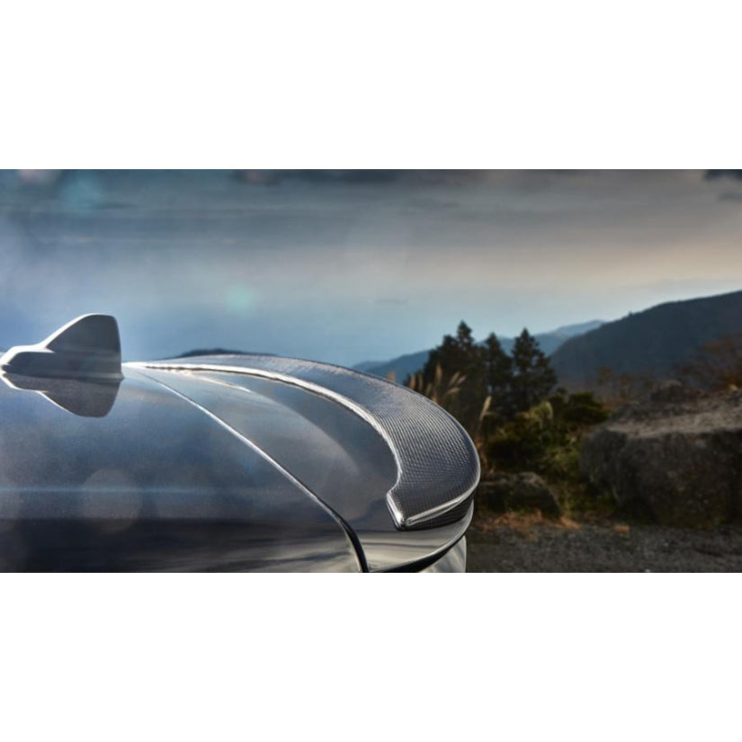 3Ddesign Roof Spoiler Carbon Fibre MINI JCW F54