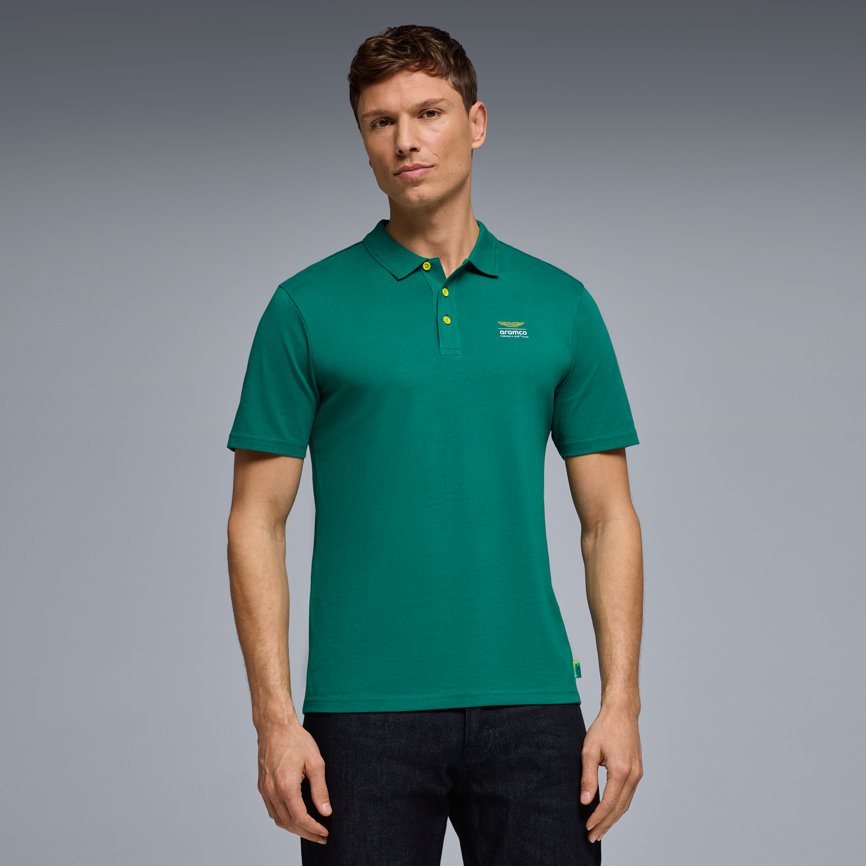 Aston Martin F1 Seasonal Polo Mens - Green