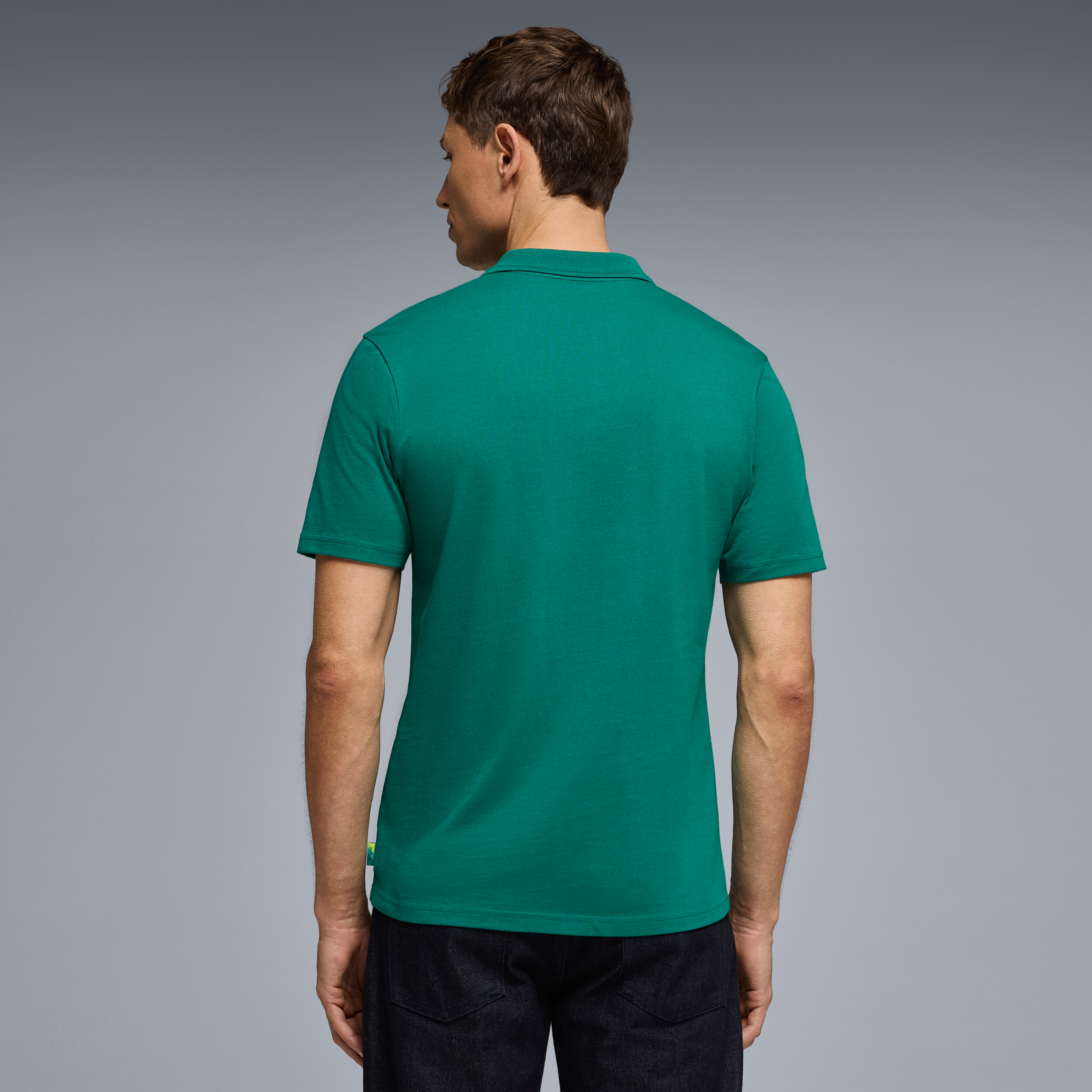 Aston Martin F1 Seasonal Polo Mens - Green