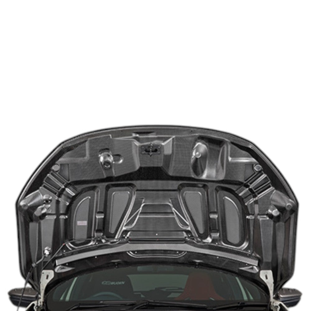 Mugen Aero Carbon Bonnet RC20GT Honda Civic Type-R FK8 17-22