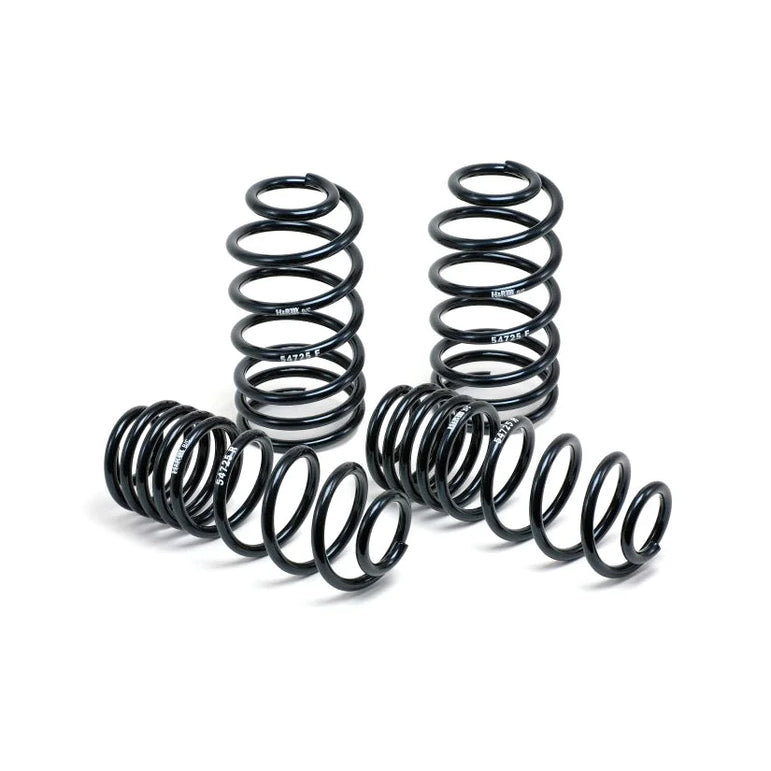 H&R Lowering Springs Renault Megane RS MK3 09+ - 35mm Lower