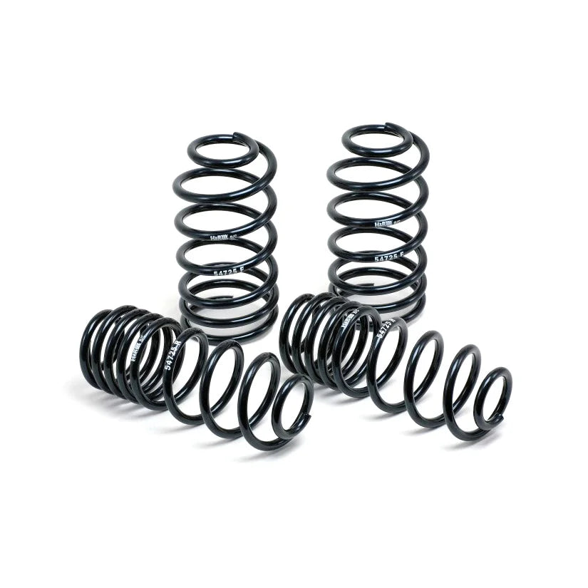 H&R Lowering Springs Renault Megane RS MK3 09+ - 35mm Lower
