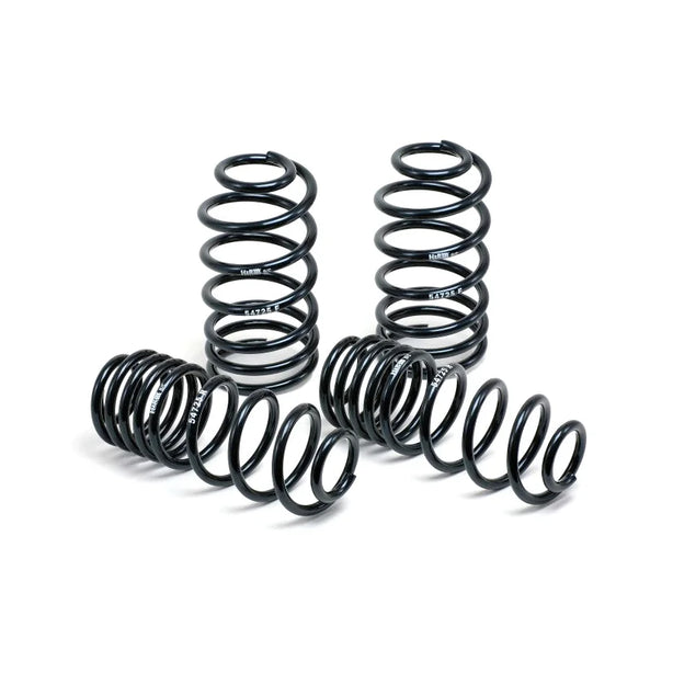 H&R Lowering Springs Renault Megane RS MK3 09+ - 35mm Lower