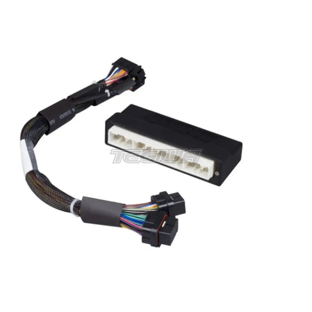 Haltech Elite 1500 PnP Adaptor Harness - Honda Civic EP3