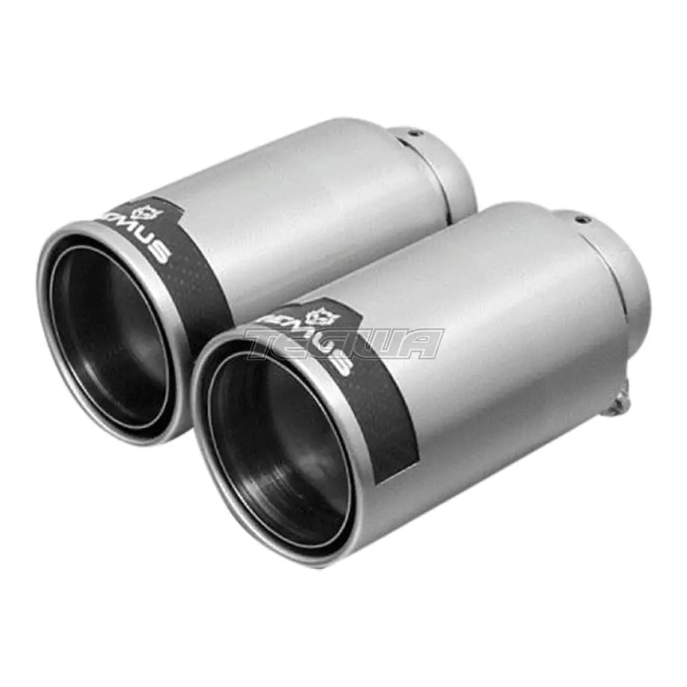 Remus Rear Silencer Left/Right Bmw 2 Series F22/F23 M240I 15-18 Tail Pipes 98Mm Straight Carbon