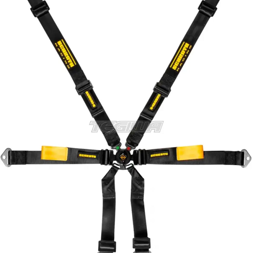 Schroth 6 Point 2x2 OEM Porsche 991/981 Enduro Harness