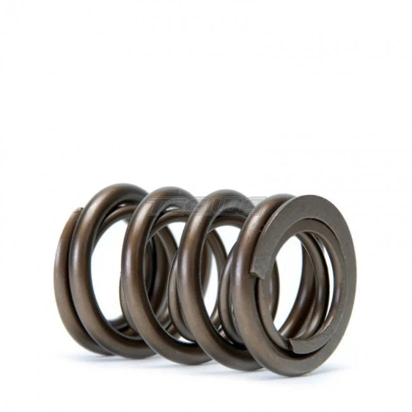 Skunk2 Alpha Series Valve Spring Kit Honda B-Series B16 B18