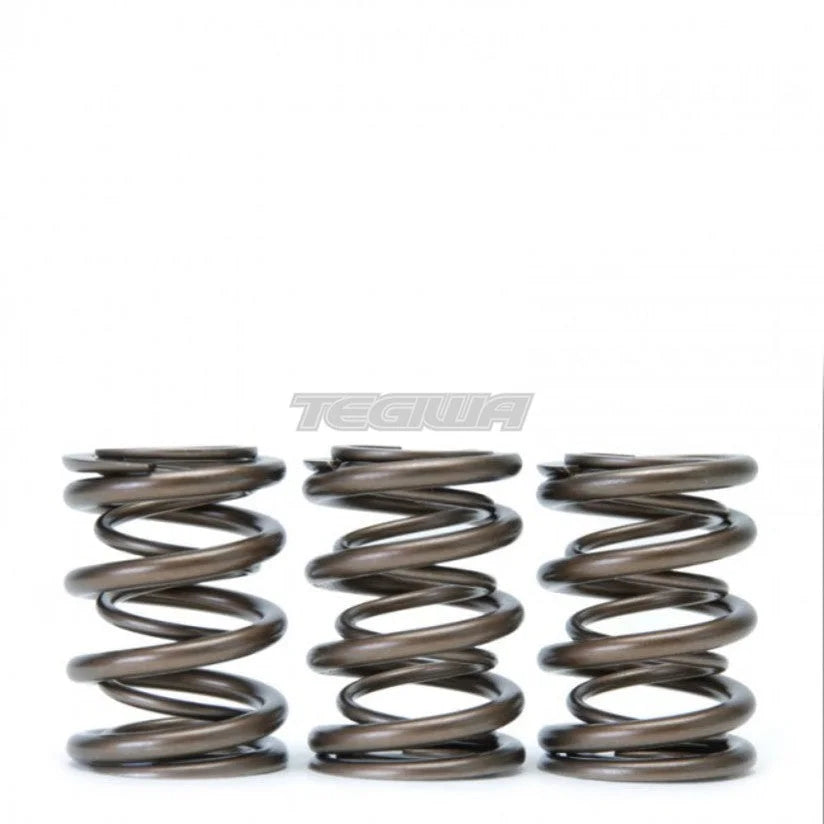Skunk2 Alpha Series Valve Spring Kit Honda B-Series B16 B18