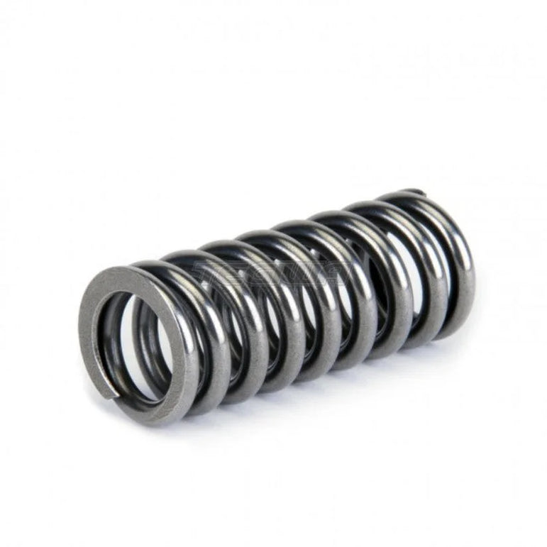 Skunk2 Alpha Valve Springs Honda D-Series