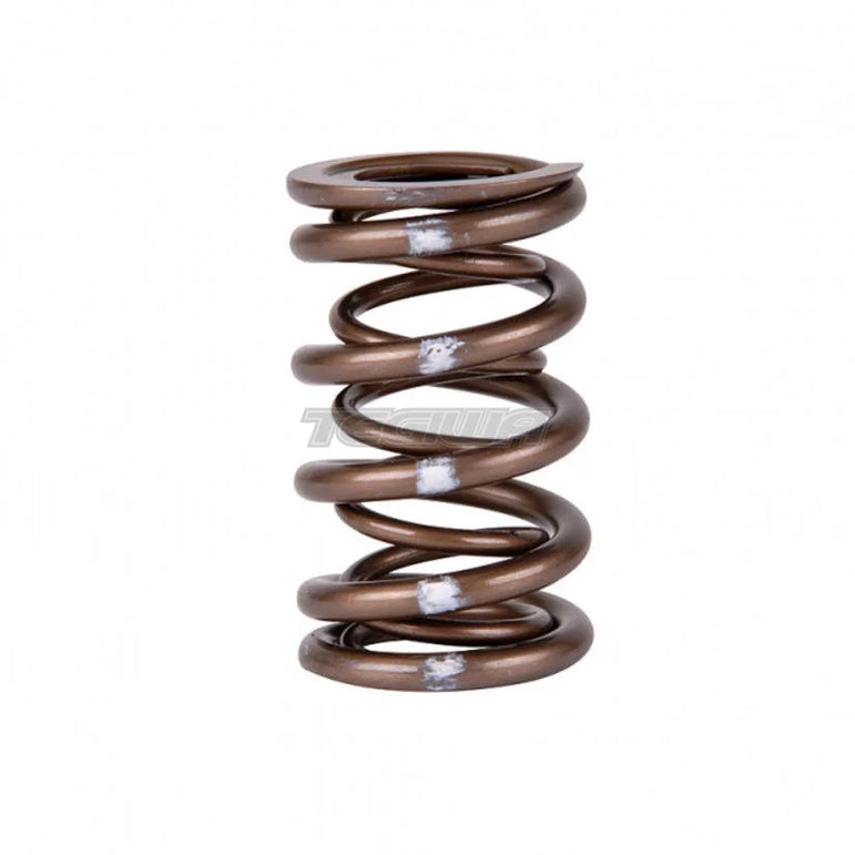 Skunk2 Pro Series XP Valve Springs Honda B-Series H-Series