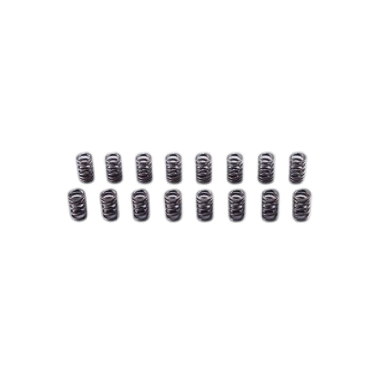 Mugen Valve Spring Set Honda Civic Type R FD2 07-11