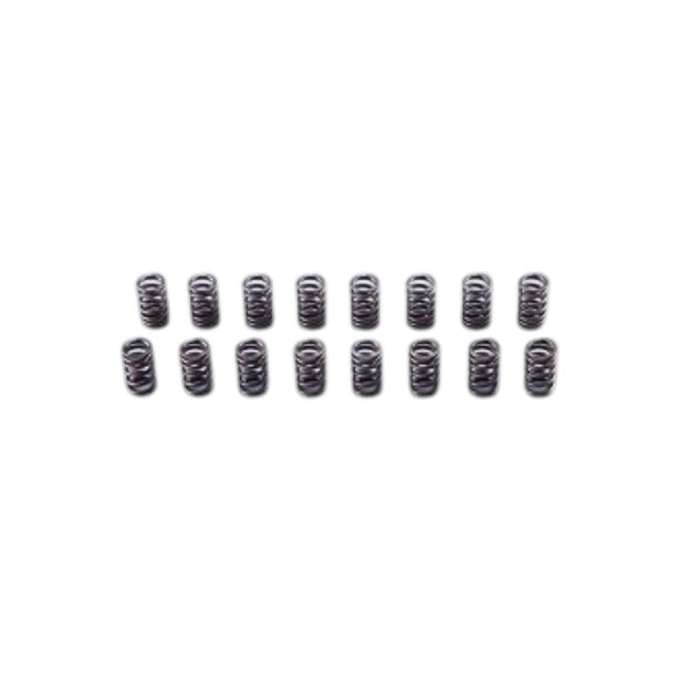 Mugen Valve Spring Set Honda Civic Type R FD2 07-11