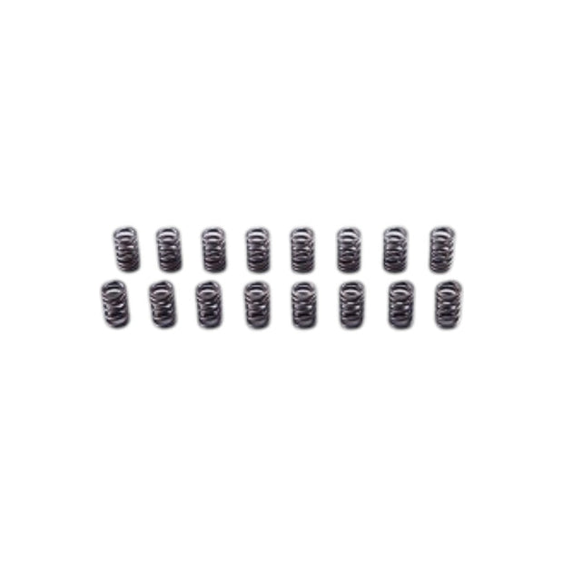 Mugen Valve Spring Set Honda Civic Type R FD2 07-11
